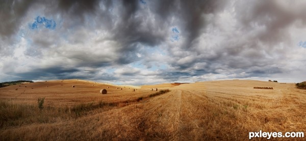 bales of hay